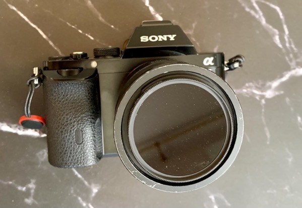 IMG_1383.jpeg IMG 1383