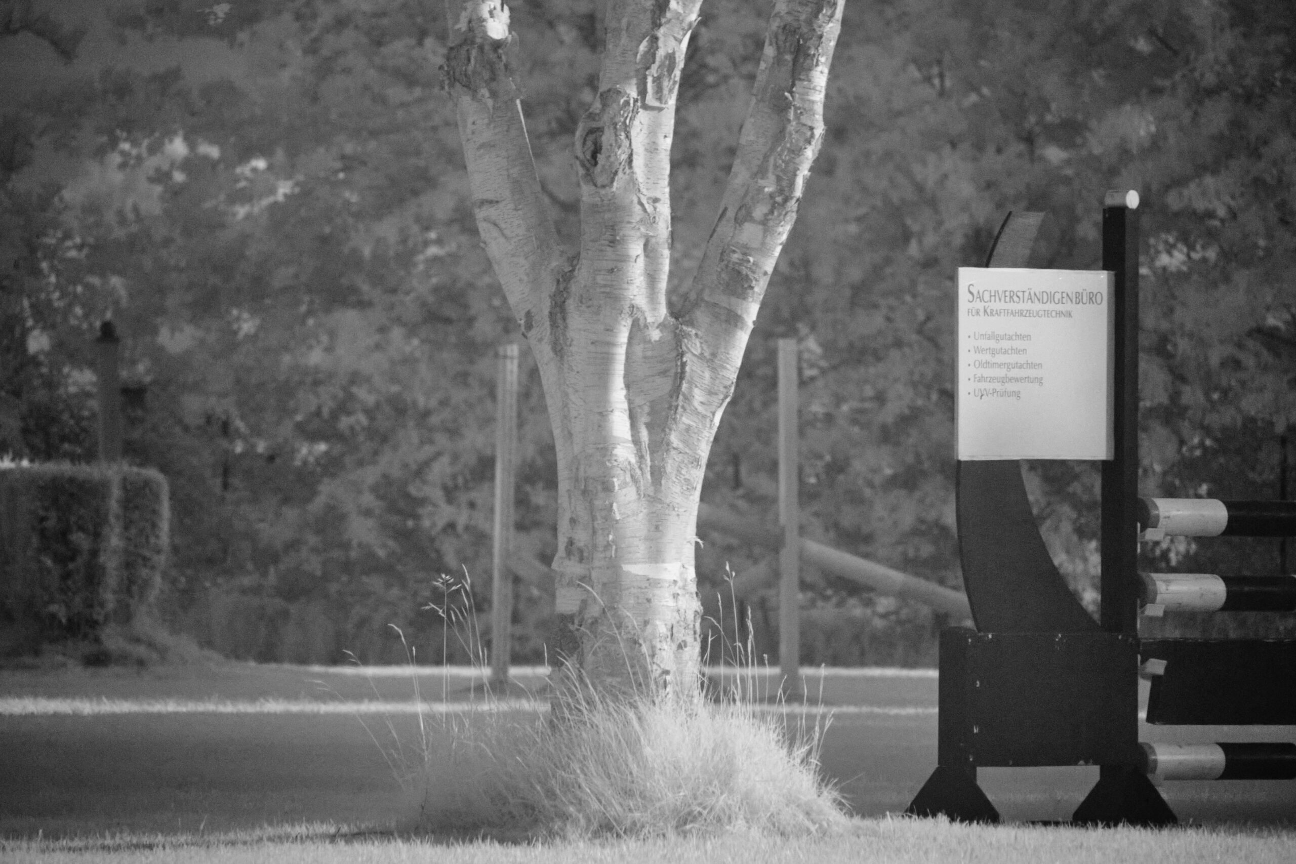 F11 Sigma 100 400mm F5 6 3 DG DN OS | C  Sony E 2