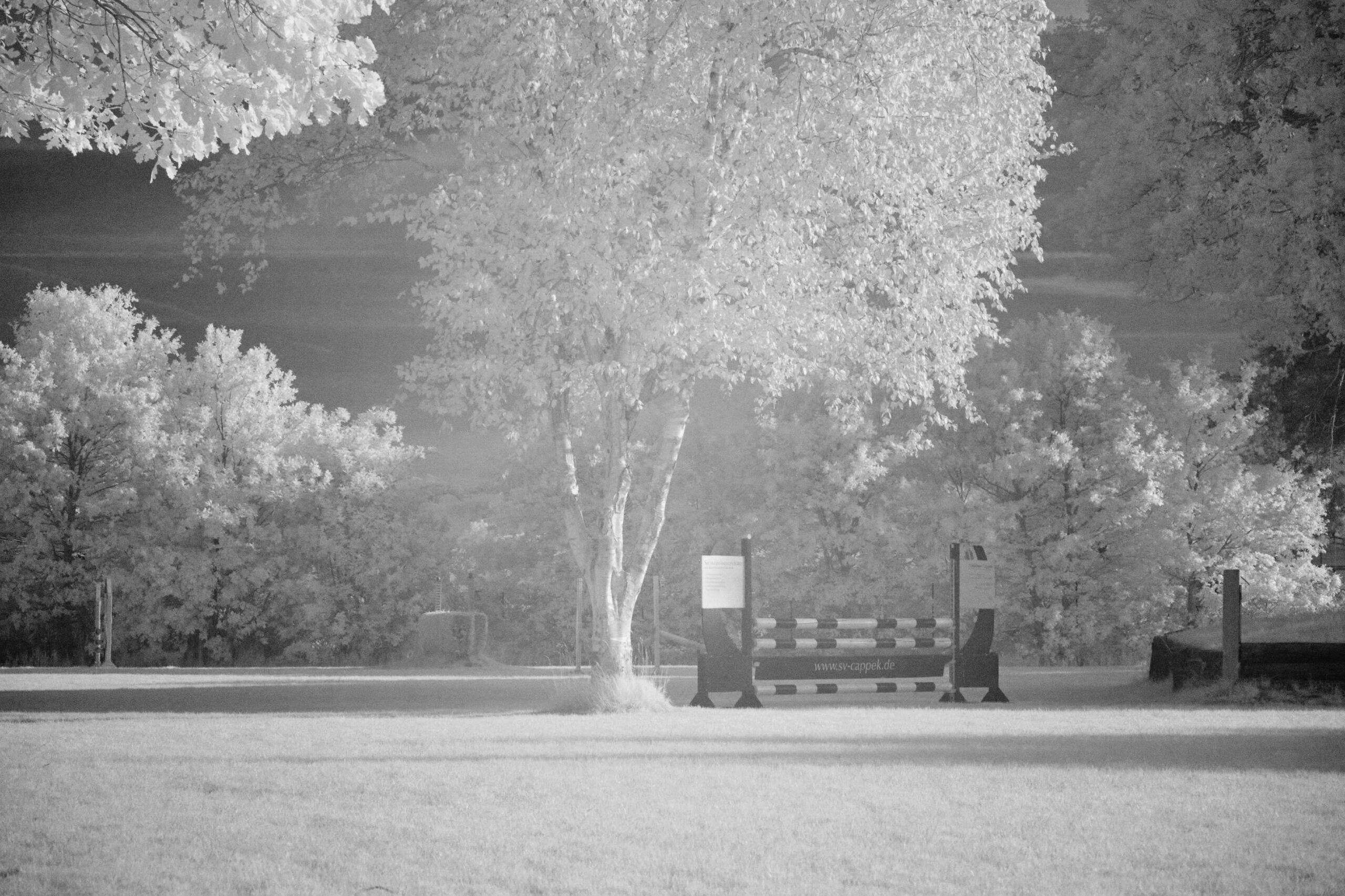 F11 Sigma 100 400mm F5 6 3 DG DN OS | C  Sony E