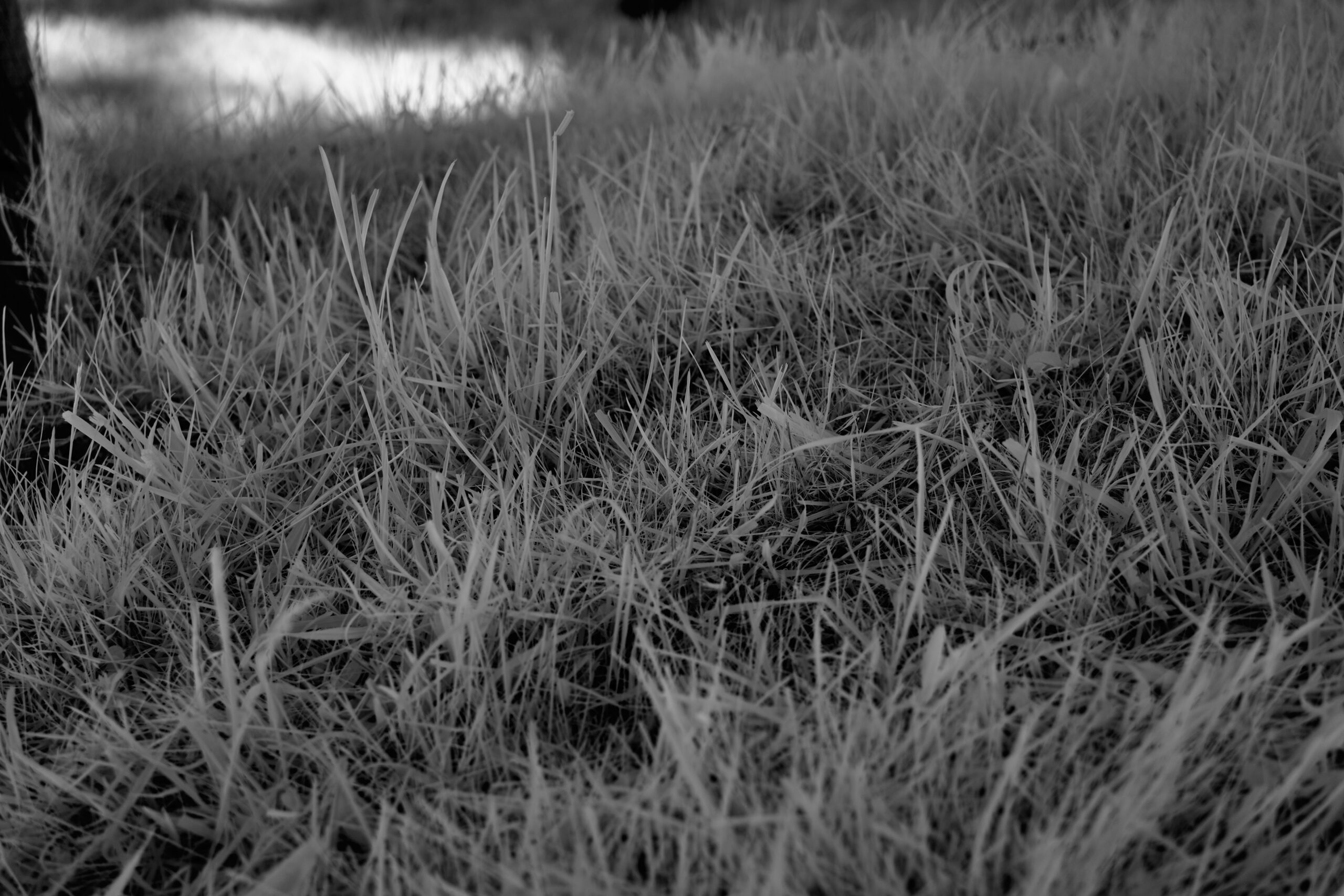 F3 5 Sony FE 40mm F2 5 G  SEL40F25G 1