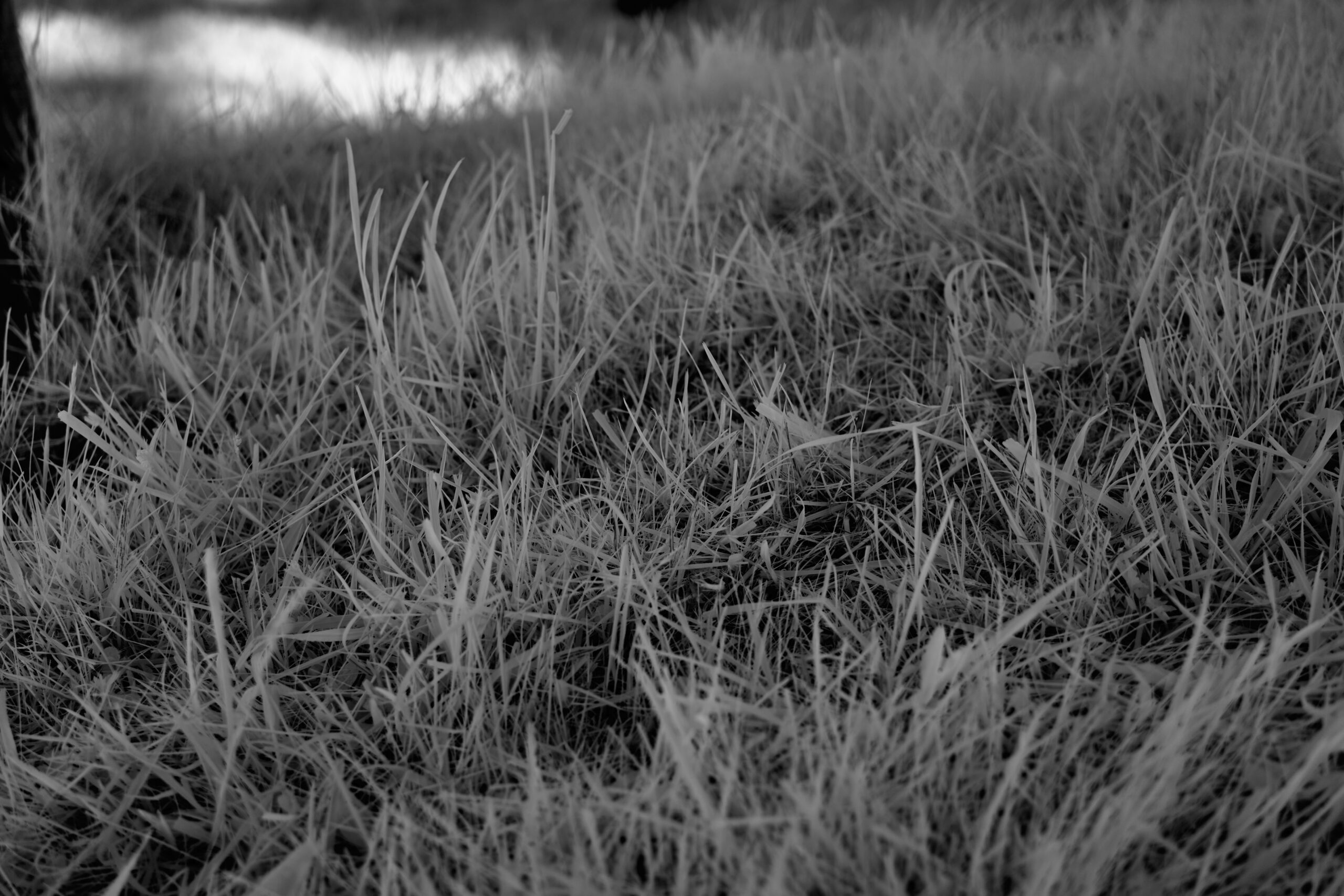 F3 5 Sony FE 40mm F2 5 G  SEL40F25G