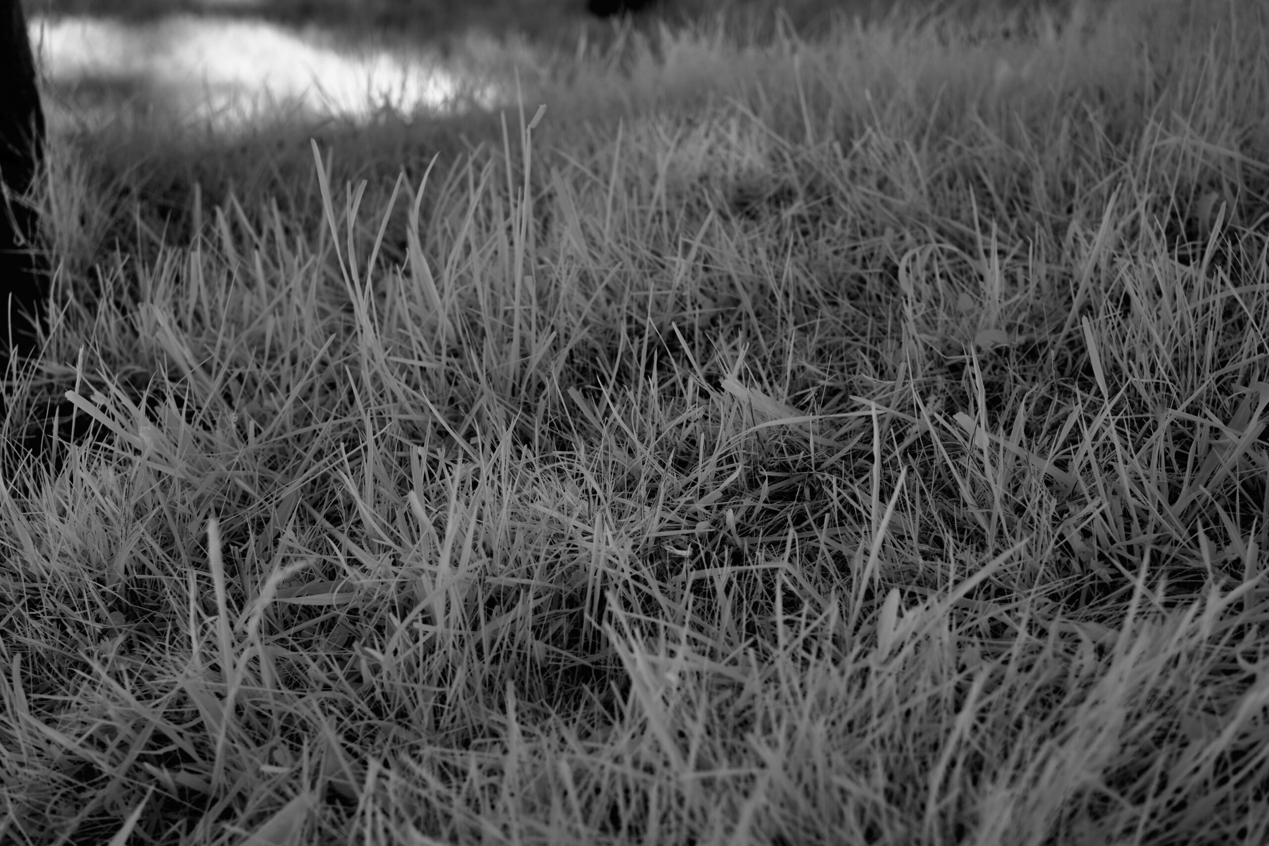 F4 Sony FE 40mm F2 5 G  SEL40F25G