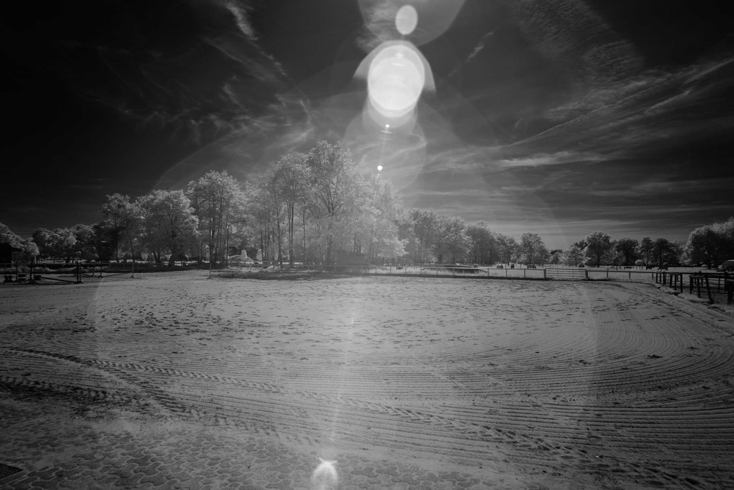 F4 5 Sony FE 24mm F1 4 GM  SEL24F14GM