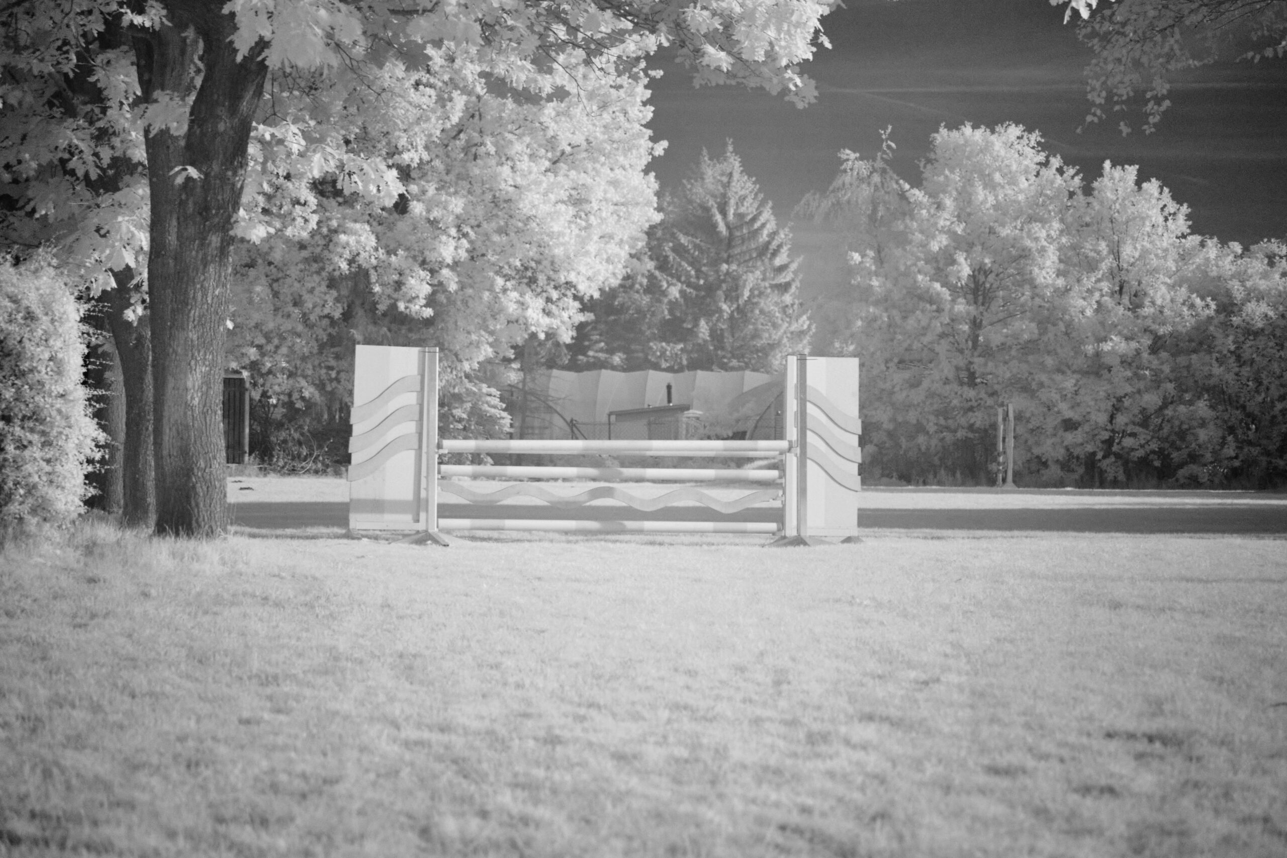 F5 Sigma 100 400mm F5 6 3 DG DN OS | C  Sony E