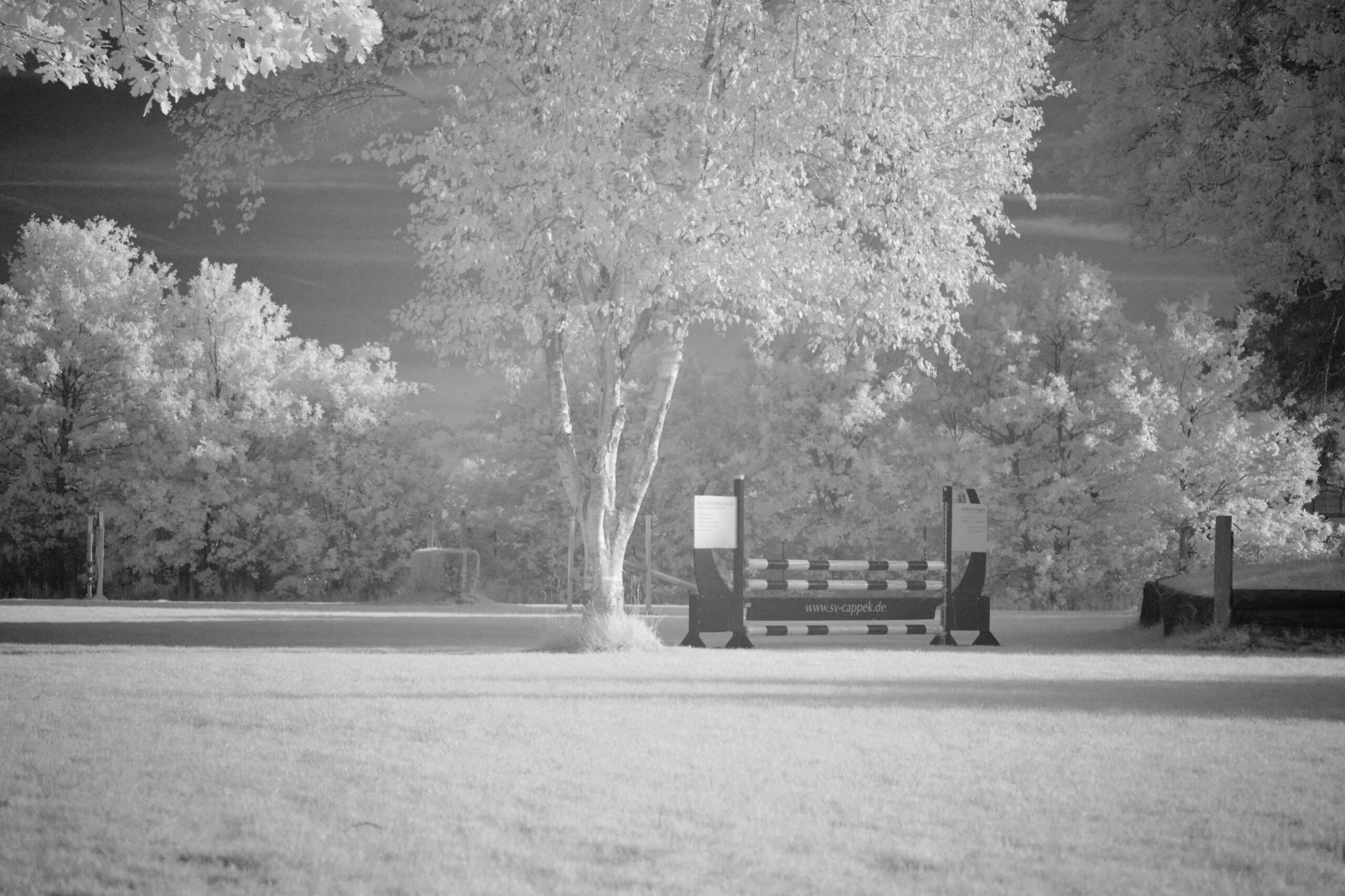 F5 6 Sigma 100 400mm F5 6 3 DG DN OS | C  Sony E