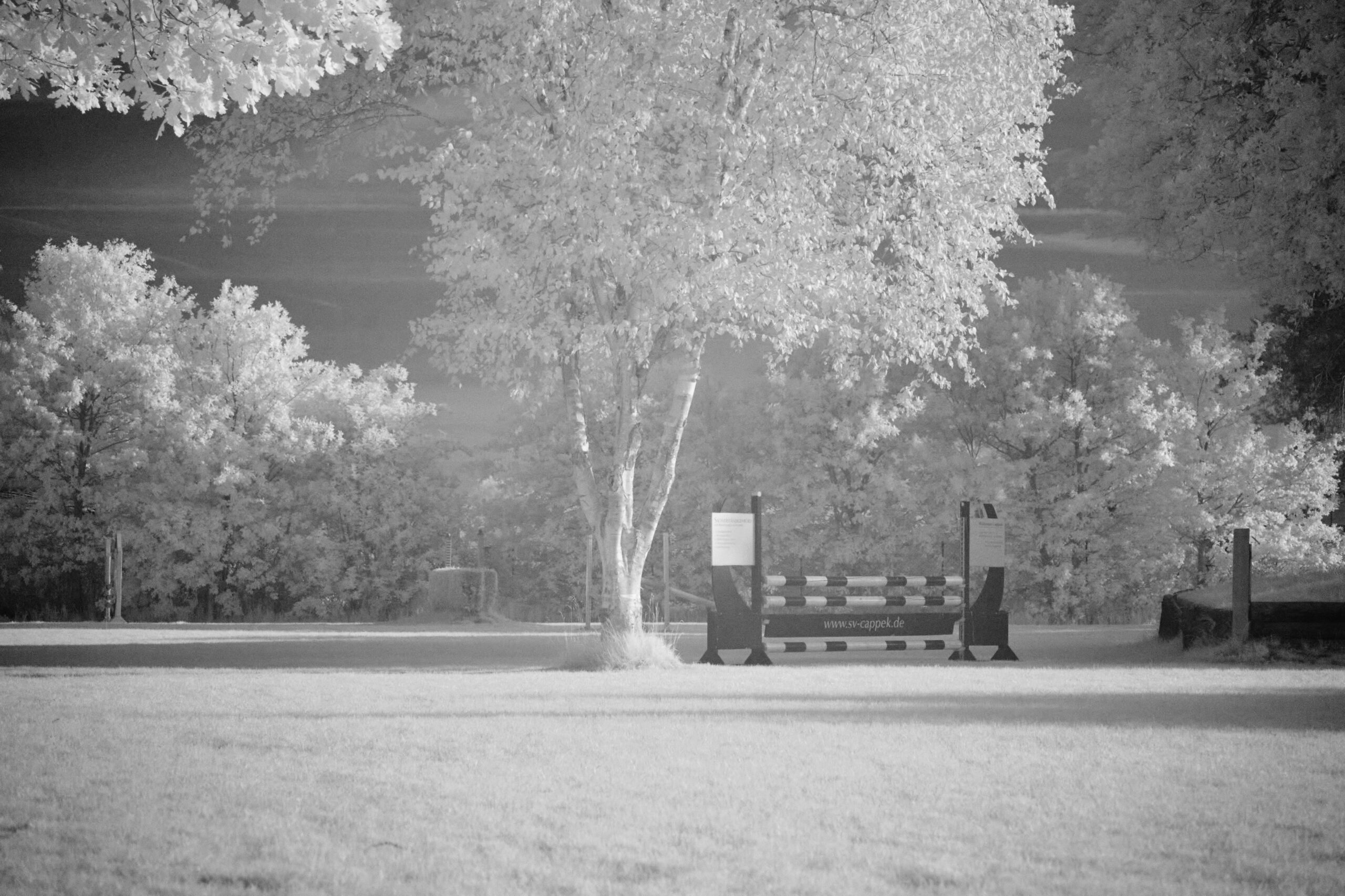 F6 7 Sigma 100 400mm F5 6 3 DG DN OS | C  Sony E