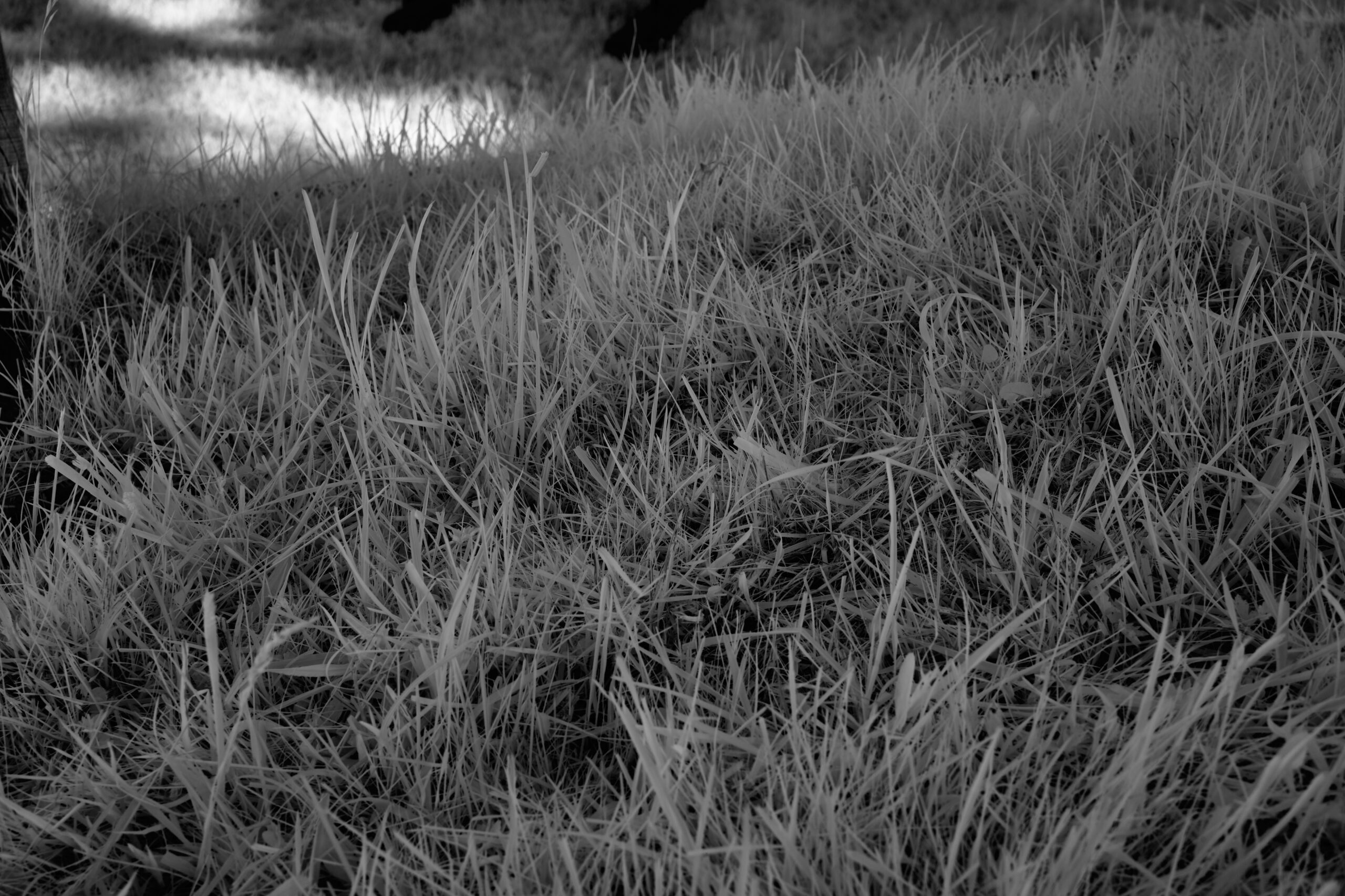 F8 Sony FE 40mm F2 5 G  SEL40F25G