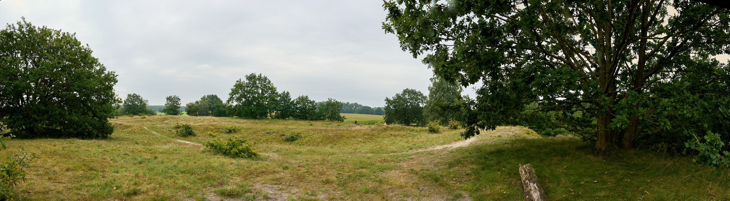 2023 09 02 10 08 40 Panorama