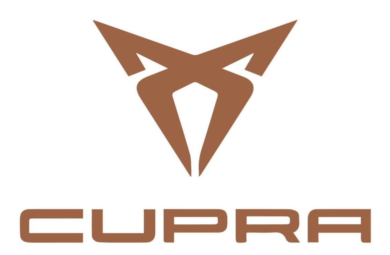 Home Assistant und Cupra Addon