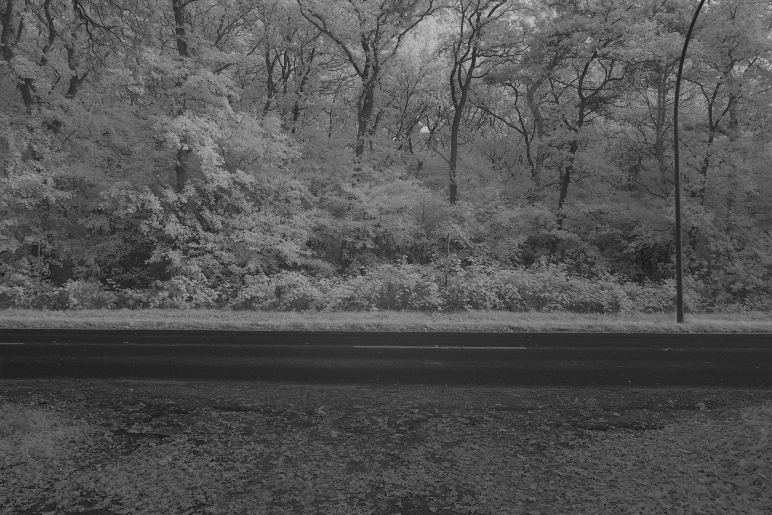 Blende_11.0_Zeit_1:10_ISO_125a.jpeg Blende 11.0 Zeit 1:10 ISO 125a.