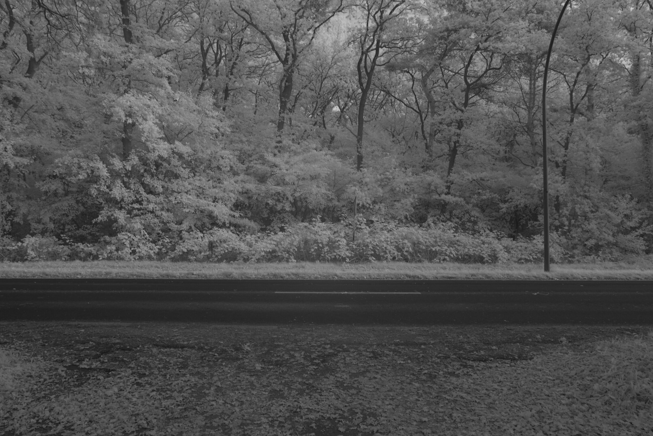 Blende_13.0_Zeit_1:8_ISO_125.jpeg Blende 13.0 Zeit 1:8 ISO 125.