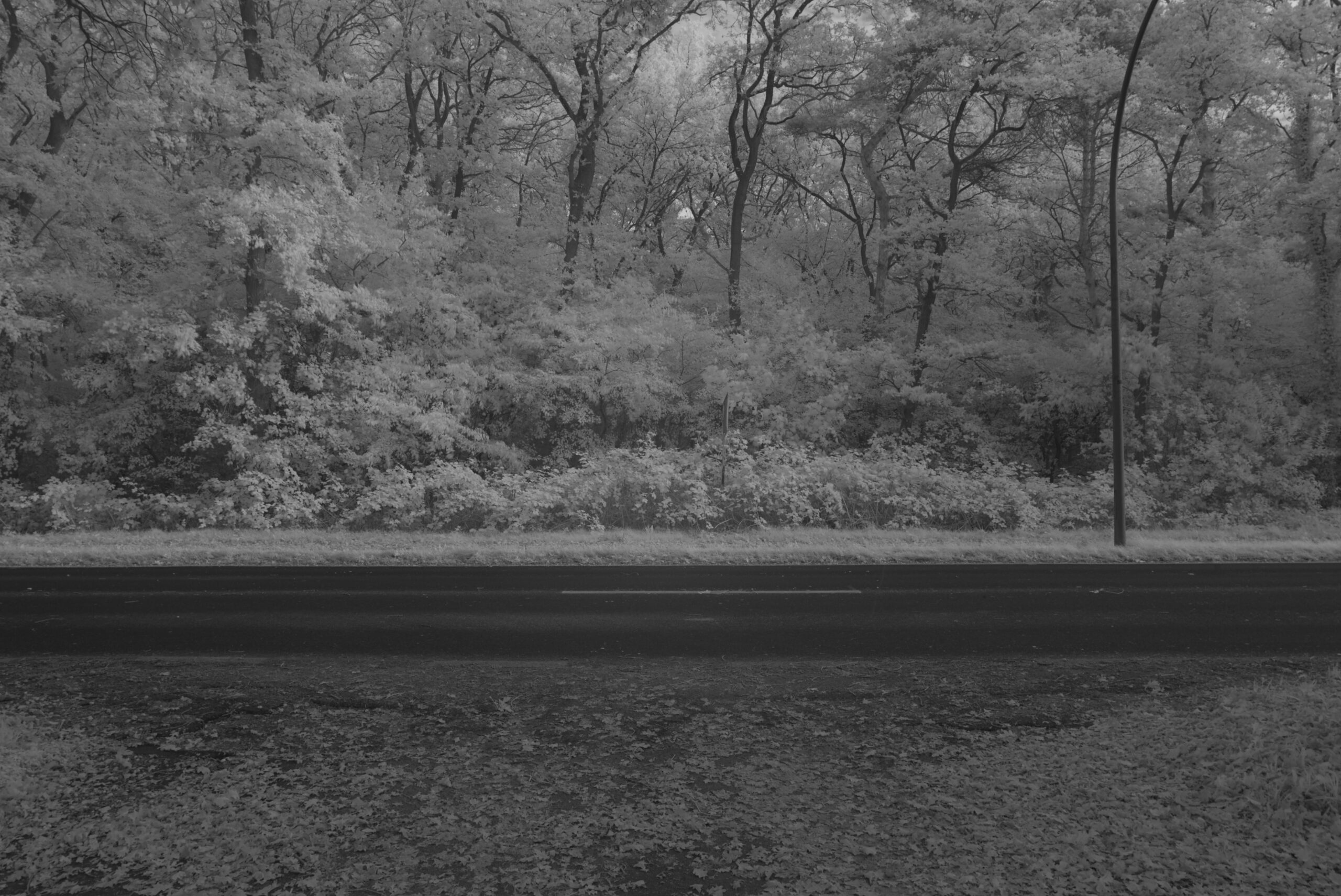 Blende_16.0_Zeit_1:6_ISO_125.jpeg Blende 16.0 Zeit 1:6 ISO 125.