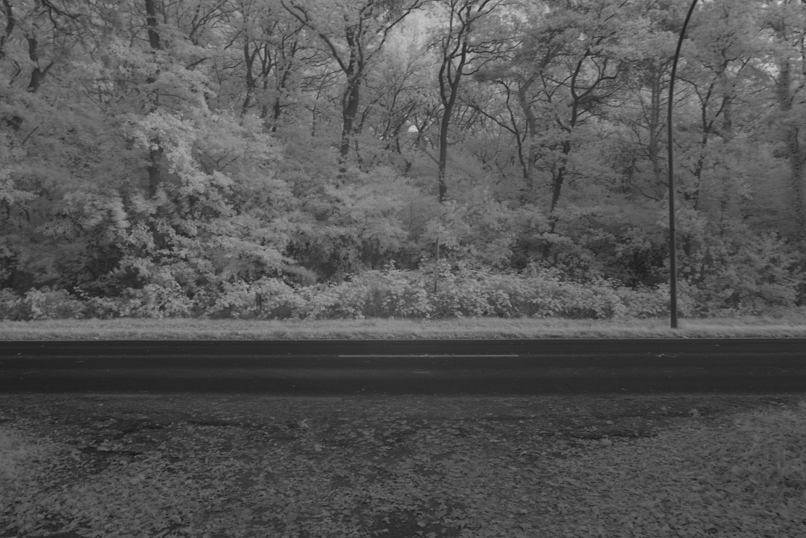 Blende_19.0_Zeit_1:4_ISO_125.jpeg Blende 19.0 Zeit 1:4 ISO 125.