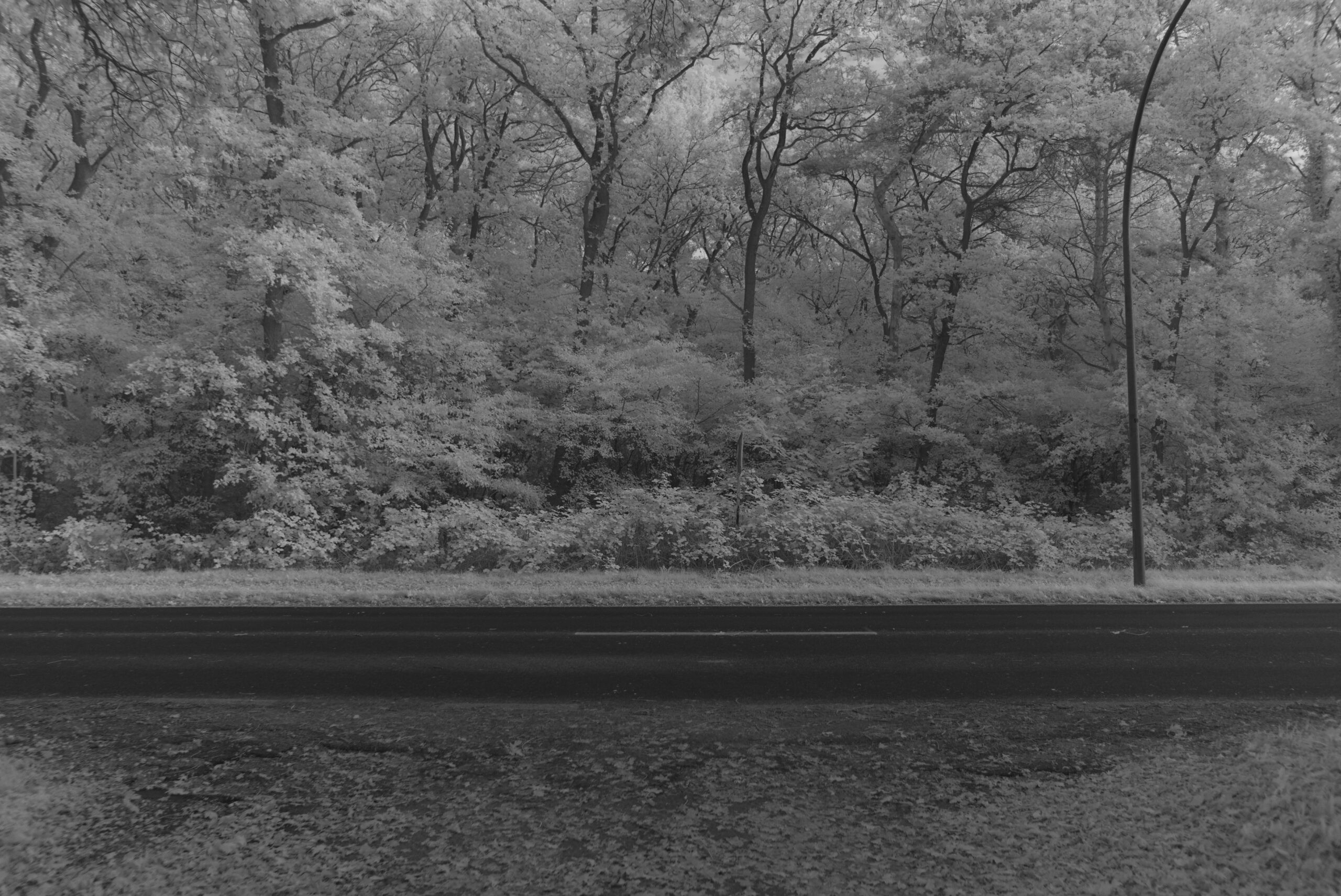 Blende_2.0_Zeit_1:500_ISO_125.jpeg Blende 2.0 Zeit 1:500 ISO 125.