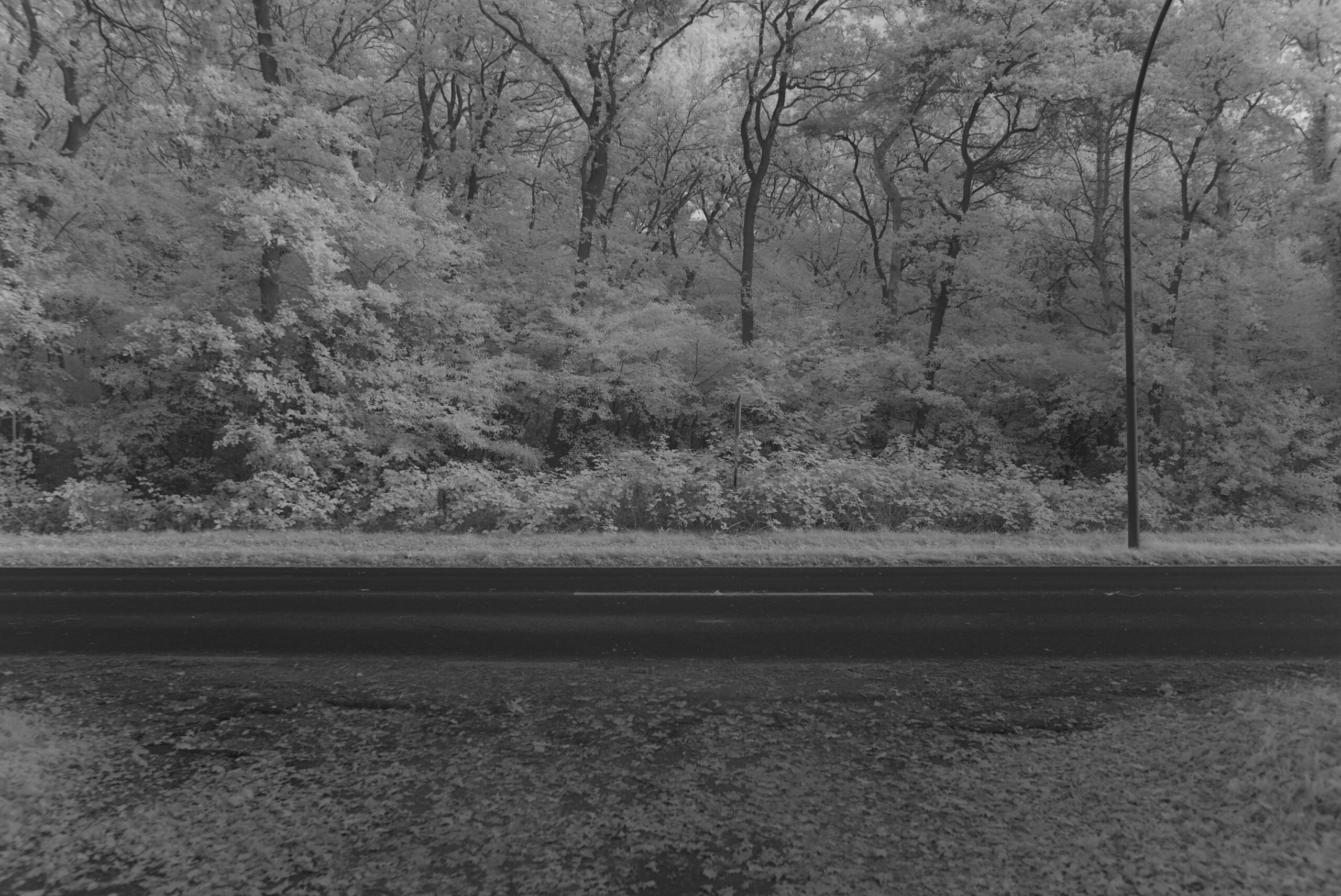 Blende_2.8_Zeit_1:250_ISO_125.jpeg Blende 2.8 Zeit 1:250 ISO 125.