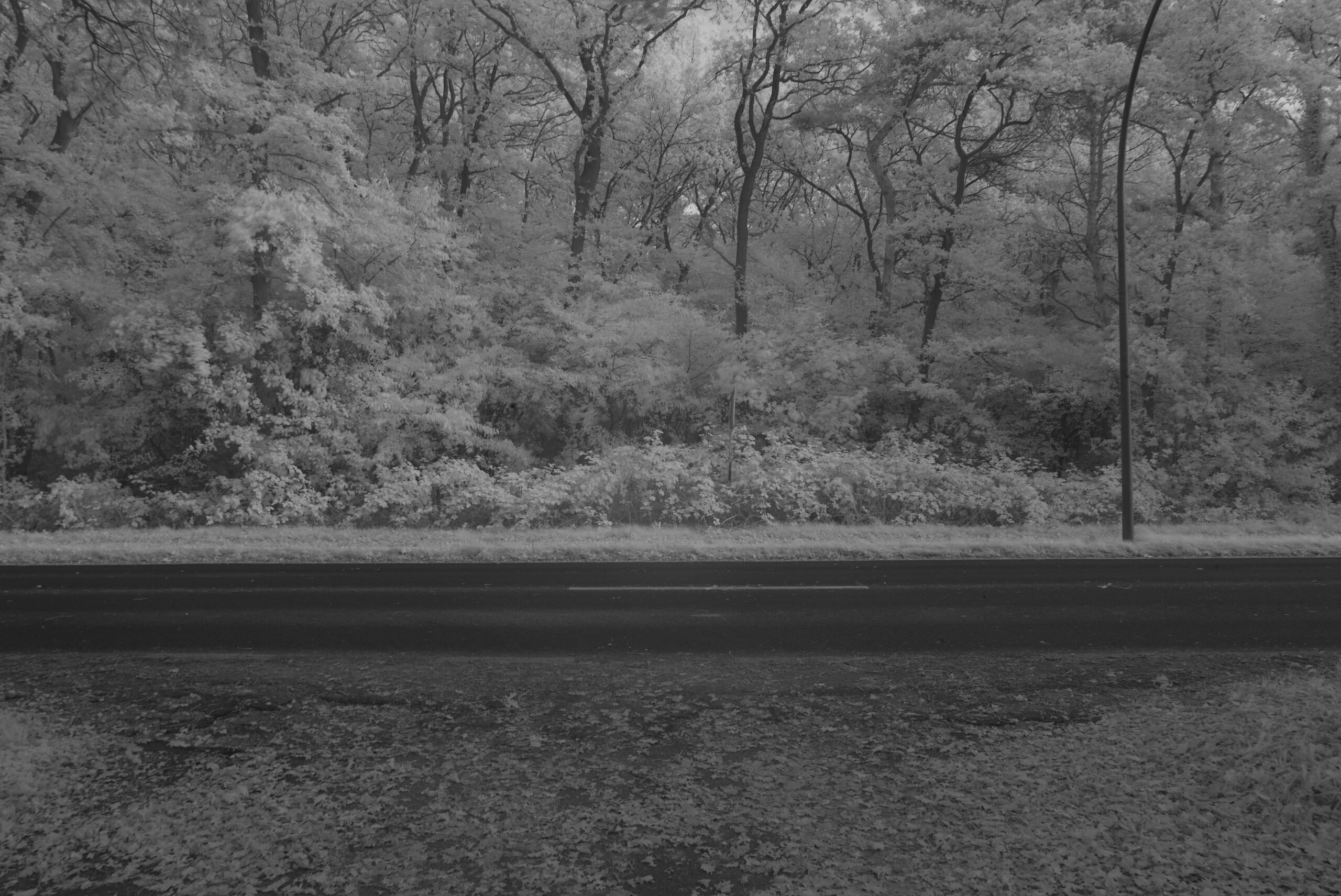 Blende_22.0_Zeit_0.3_ISO_125.jpeg Blende 22.0 Zeit 0.3 ISO 125.