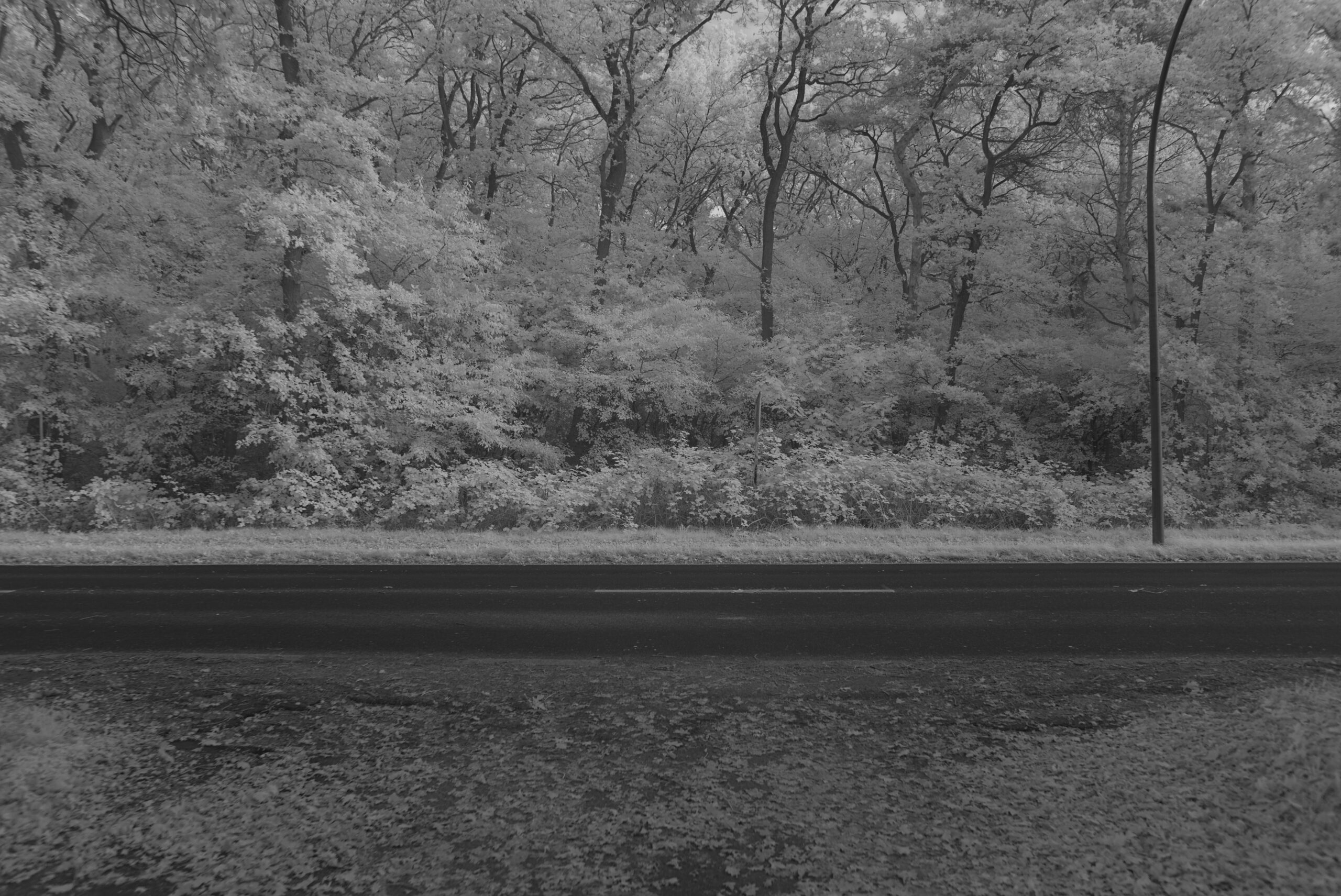 Blende_3.5_Zeit_1:200_ISO_125.jpeg Blende 3.5 Zeit 1:200 ISO 125.