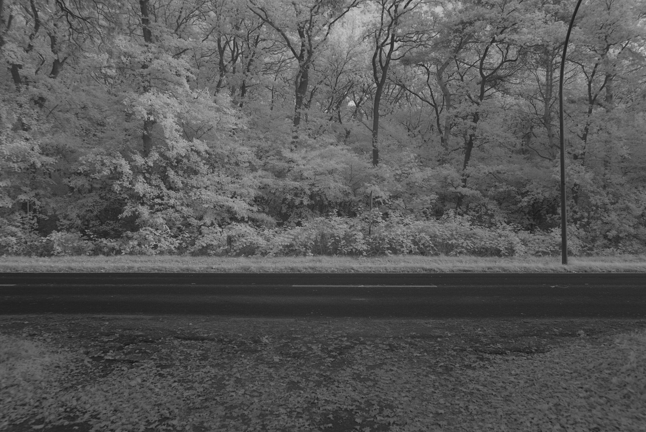 Blende_4.0_Zeit_1:125_ISO_125.jpeg Blende 4.0 Zeit 1:125 ISO 125.