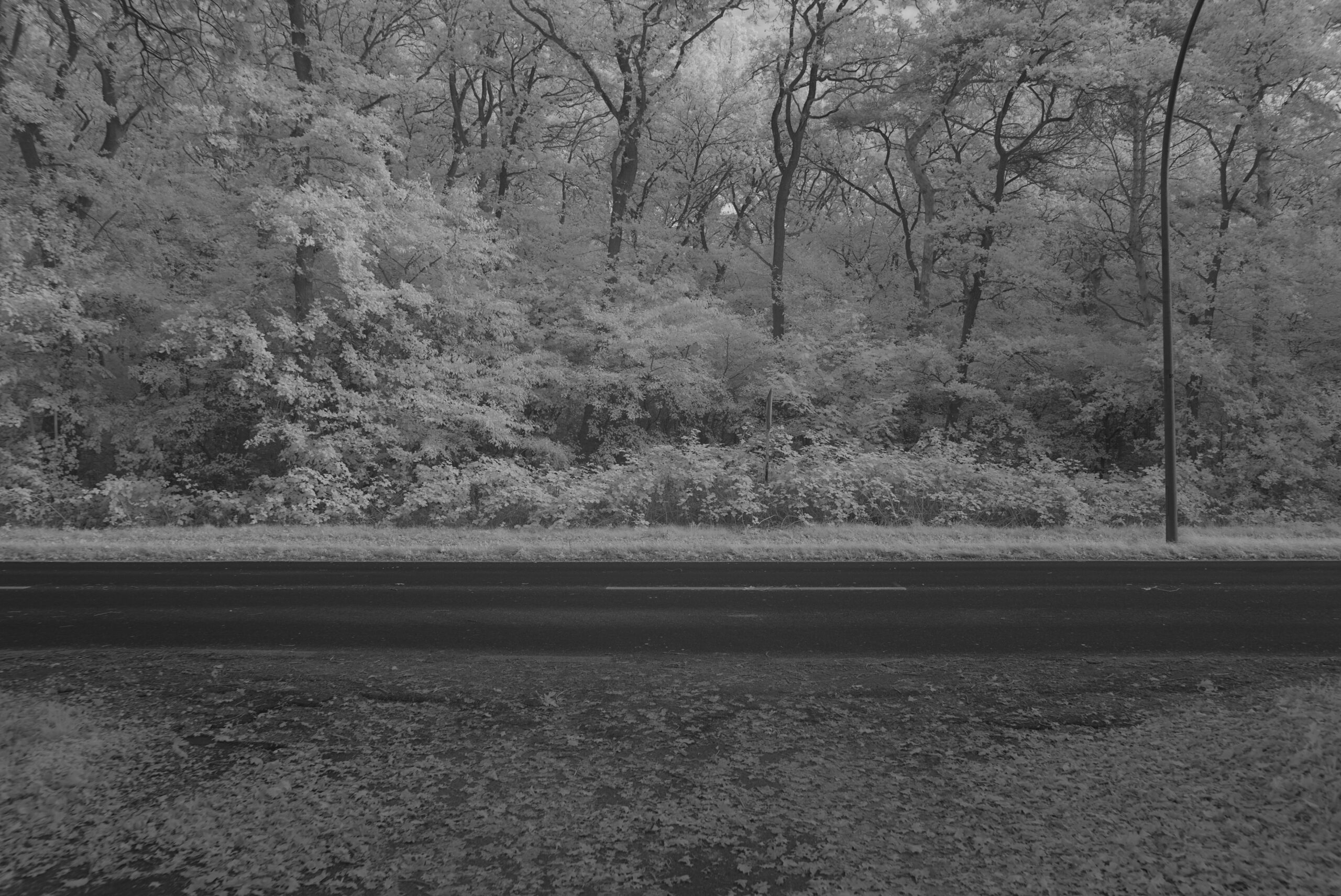 Blende_4.5_Zeit_1:60_ISO_125a.jpeg Blende 4.5 Zeit 1:60 ISO 125a.