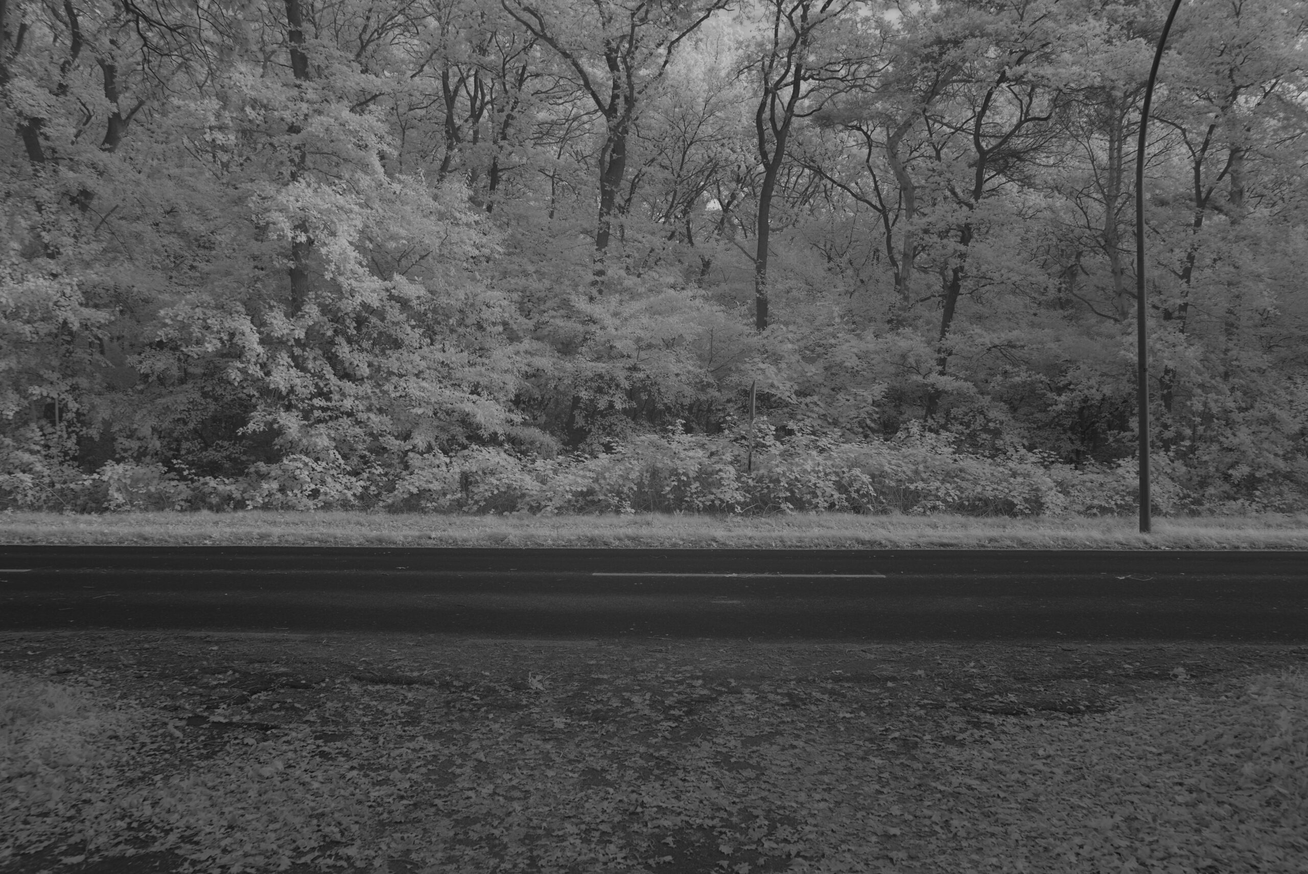 Blende_5.6_Zeit_1:45_ISO_125.jpeg Blende 5.6 Zeit 1:45 ISO 125.