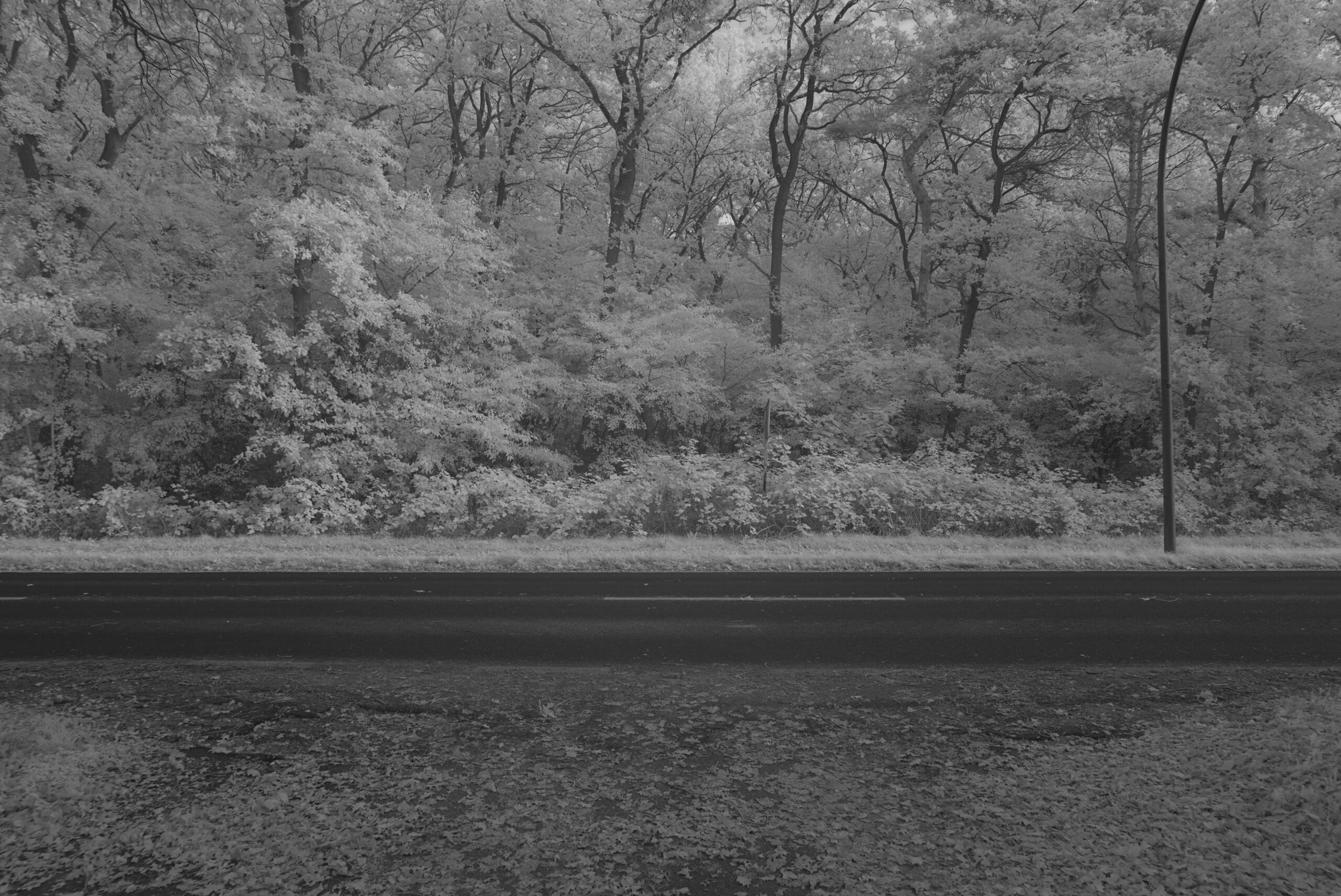 Blende_6.7_Zeit_1:30_ISO_125.jpeg Blende 6.7 Zeit 1:30 ISO 125.