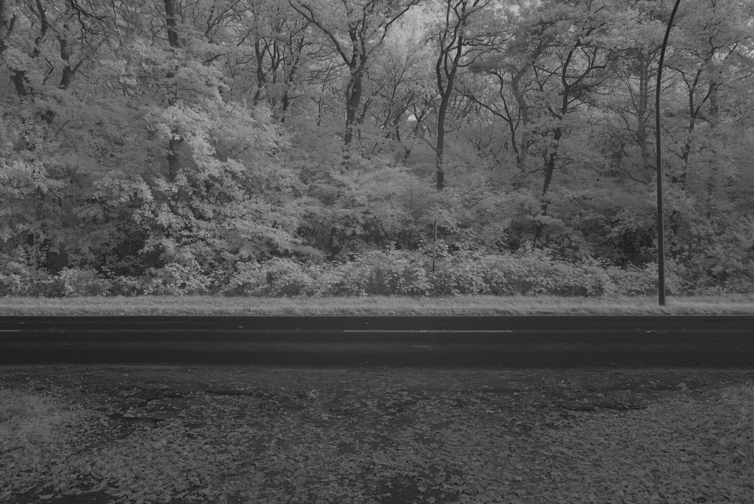 Blende_8.0_Zeit_1:20_ISO_125.jpeg Blende 8.0 Zeit 1:20 ISO 125.