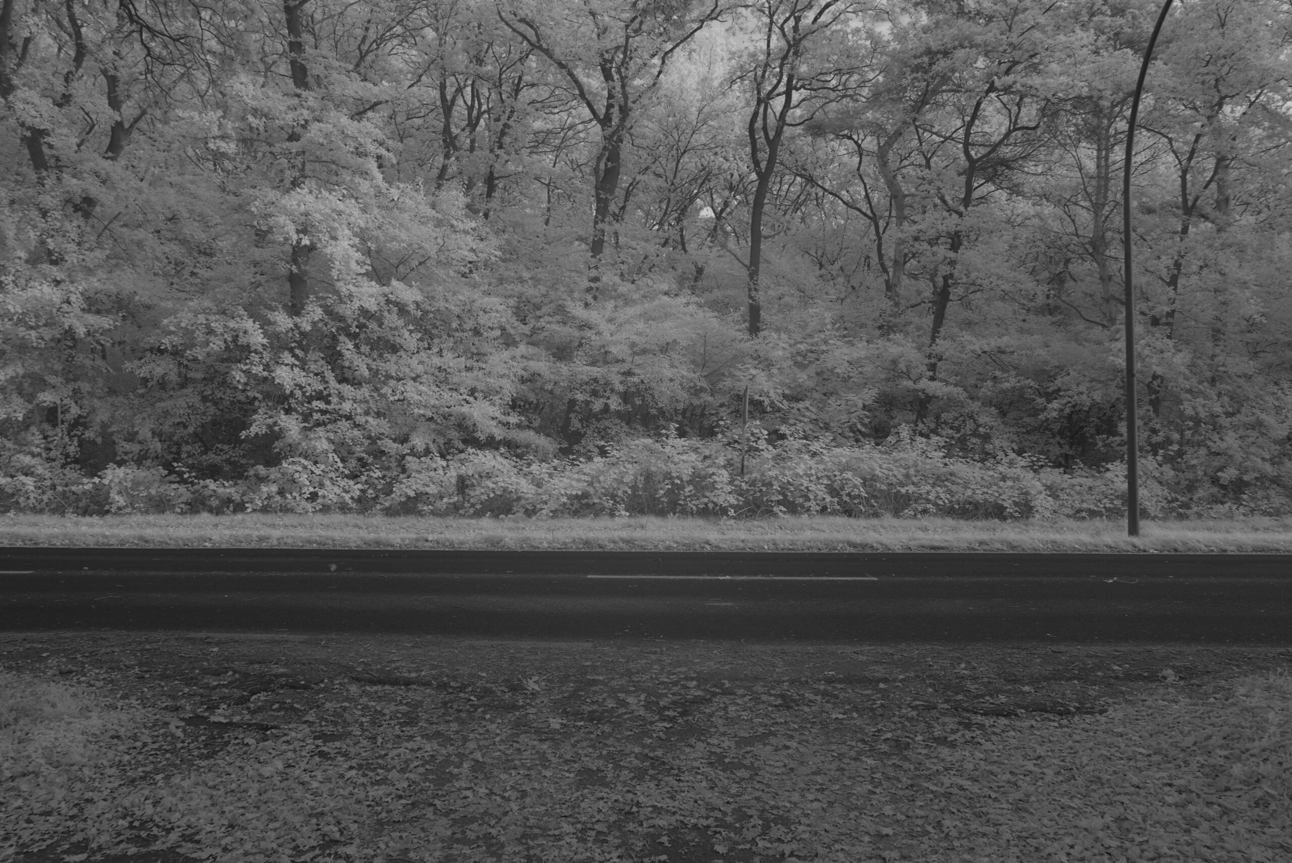 Blende_9.5_Zeit_1:15_ISO_125.jpeg Blende 9.5 Zeit 1:15 ISO 125.